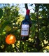 Agrumara Amaro di Sicilia agli agrumi di Sicilia - 70 cl