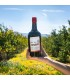 Agrumara Amaro di Sicilia agli agrumi di Sicilia - 50 cl