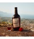 Agrumara Amaro di Sicilia agli agrumi di Sicilia - 50 cl